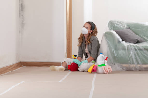 Reliable Mold Remediation contractor in Illinois, IL by WQB Mold Removal